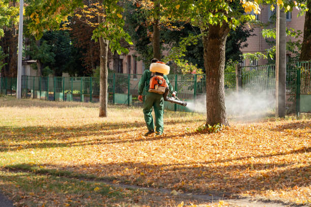 Best Local Pest Control Services  in Surfside Beach, SC