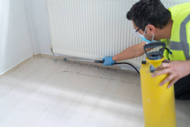 Best Wasp Removal Services  in Surfside Beach, SC